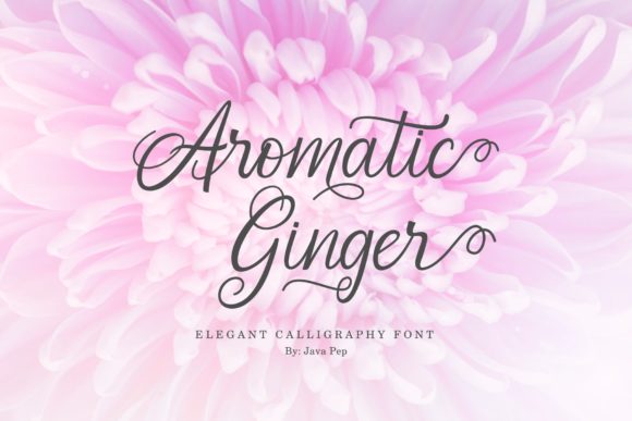 Aromatic Ginger: A Script Handwritten Font for Editorial Design