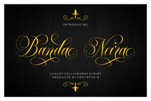 Banda Neira: The Playful Script Font for Standout Digital Design