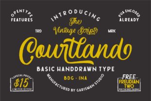 Courtland Font Review: A Bold Script for Creative Projects