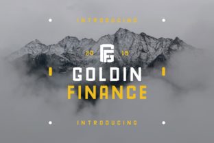 Goldin Finance: A Sans Serif Font That Elevates Campaign Design