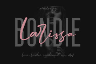 Larissa Duo: A Script Handwritten Font for Bold Web Design