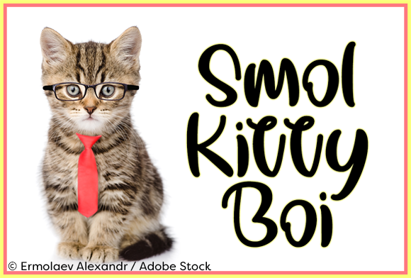Smol Kitty Boi: A Playful Script Font for Branding That Stands Out